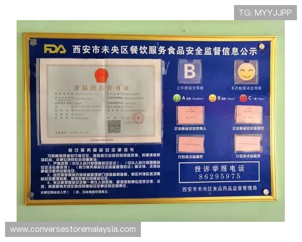 UED官网站登录界面优化与安全措施介绍保障用户账号信息安全